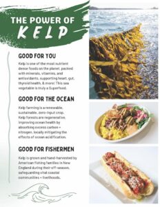 The Power of Kelp
